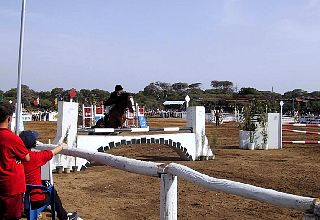 Scan000037.jpg