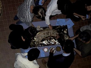 DinnerSat1.jpg