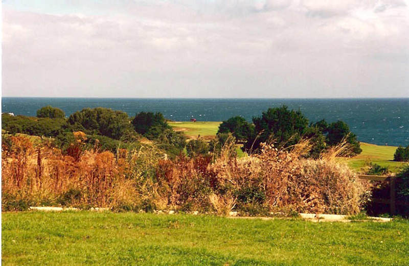 CHIU_Ireland_2001_05