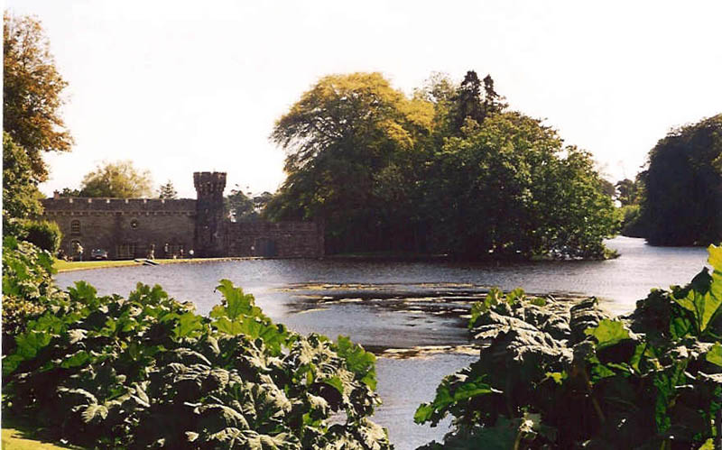 CHIU_Ireland_2001_12