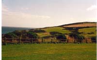 CHIU_Ireland_2001_04
