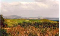 CHIU_Ireland_2001_06