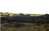 CHIU_Ireland_2001_10
