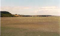 CHIU_Ireland_2001_13