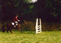 CHIU_Ireland_2001_36