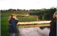 CHIU_Ireland_2001_43