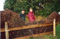 CHIU_Ireland_2001_46