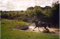 CHIU_Ireland_2001_48