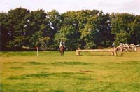 CHIU_Ireland_2001_49