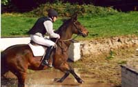 CHIU_Ireland_2001_52