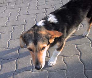 Scan000162