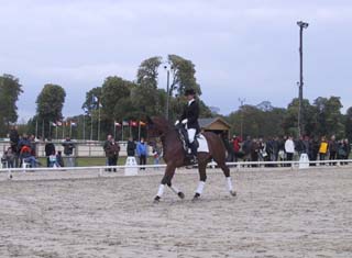112-1282_IMG