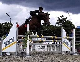 100-0003_IMG_2.JPG