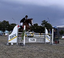 100-0010_IMG.JPG
