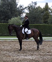 100-0040_IMG_2.JPG