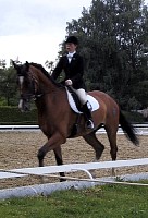 100-0045_IMG_2.JPG