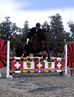 100-0082_IMG.JPG