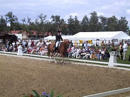 100-0003_IMG.JPG