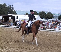 100-0010_IMG.JPG