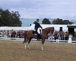 100-0015_IMG.JPG