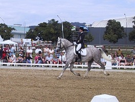100-0018_IMG.JPG