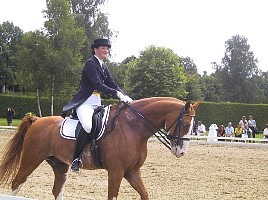 100-0025_IMG.JPG