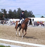 100-0031_IMG.JPG