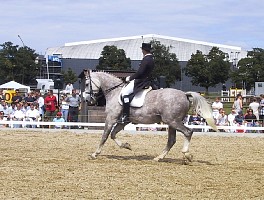 100-0038_IMG.JPG