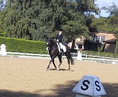 100-0030_IMG.JPG