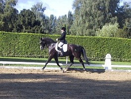 100-0032_IMG.JPG