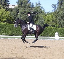 100-0036_IMG.JPG