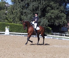 100-0038_IMG.JPG