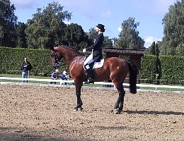 100-0039_IMG.JPG