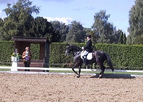 100-0046_IMG.JPG