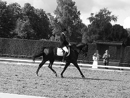 100-0054_IMG.JPG