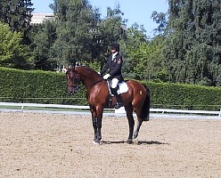 100-0055_IMG.JPG