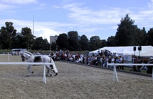100-0049_IMG.JPG