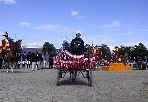 100-0078_IMG.JPG