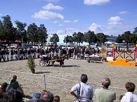 101-0119_IMG.JPG