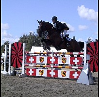100-0001_IMG.JPG