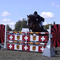100-0003_IMG.JPG