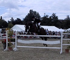 100-0016_IMG.JPG