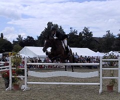 100-0019_IMG.JPG