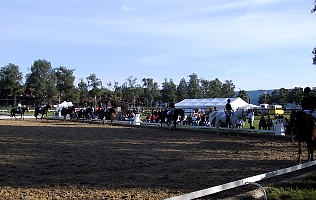 100-0047_IMG.JPG