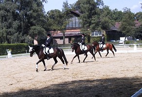 AUT-1stRoundDressage.jpg